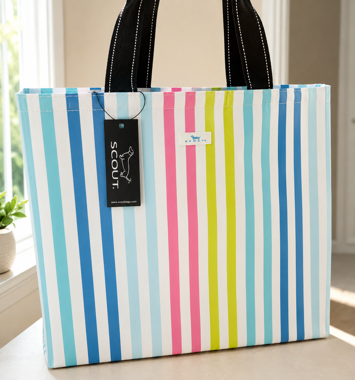 SCOUT Insulated cooler bags